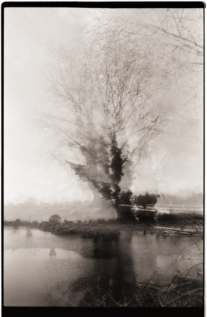 Photographie en noir et blanc réalisée par multi-exposition, montrant un arbre et son reflet dans un plan d'eau, créant une ambiance éthérée et abstraite.