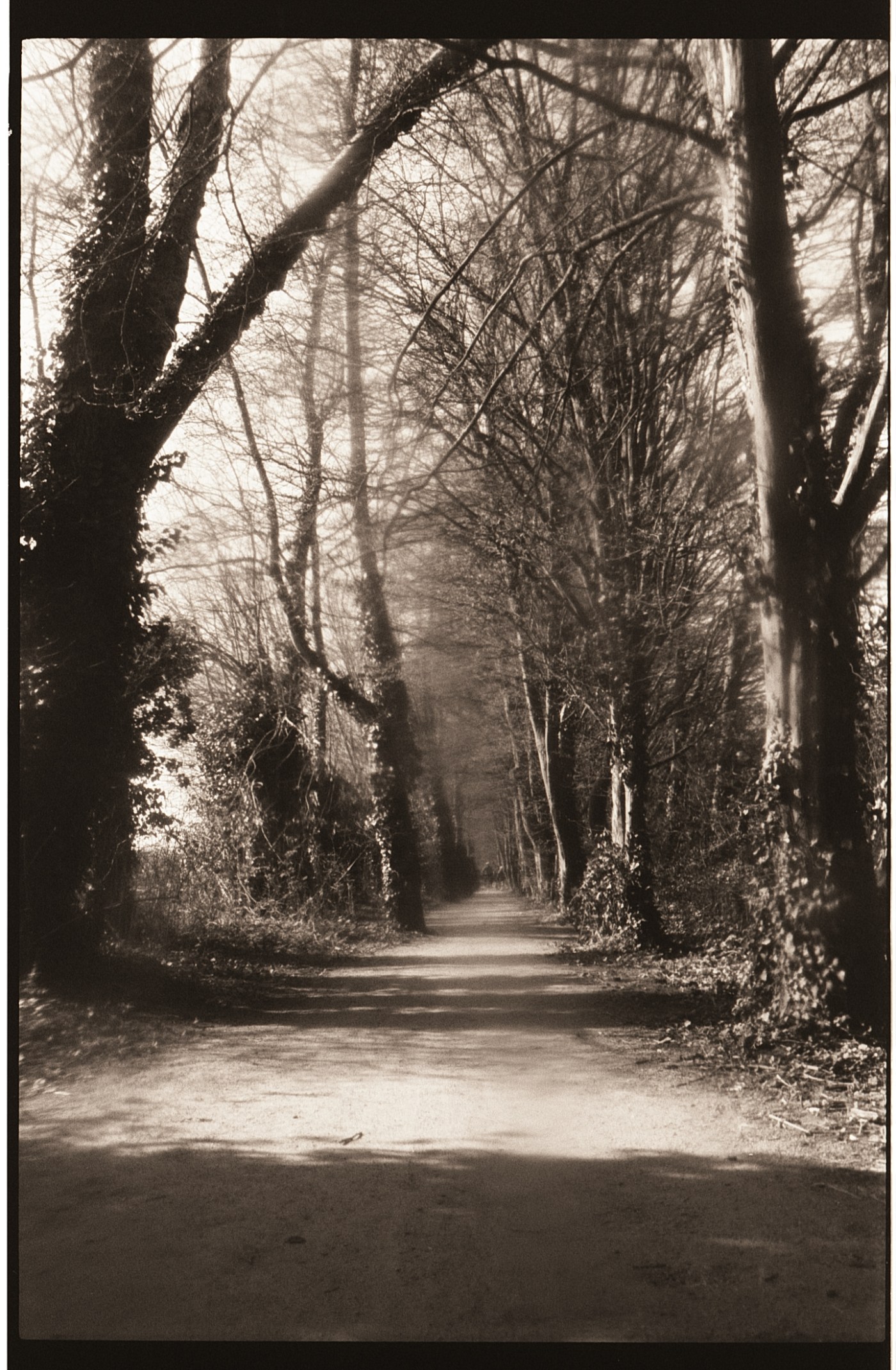 Une seule photo&nbsp;suffit