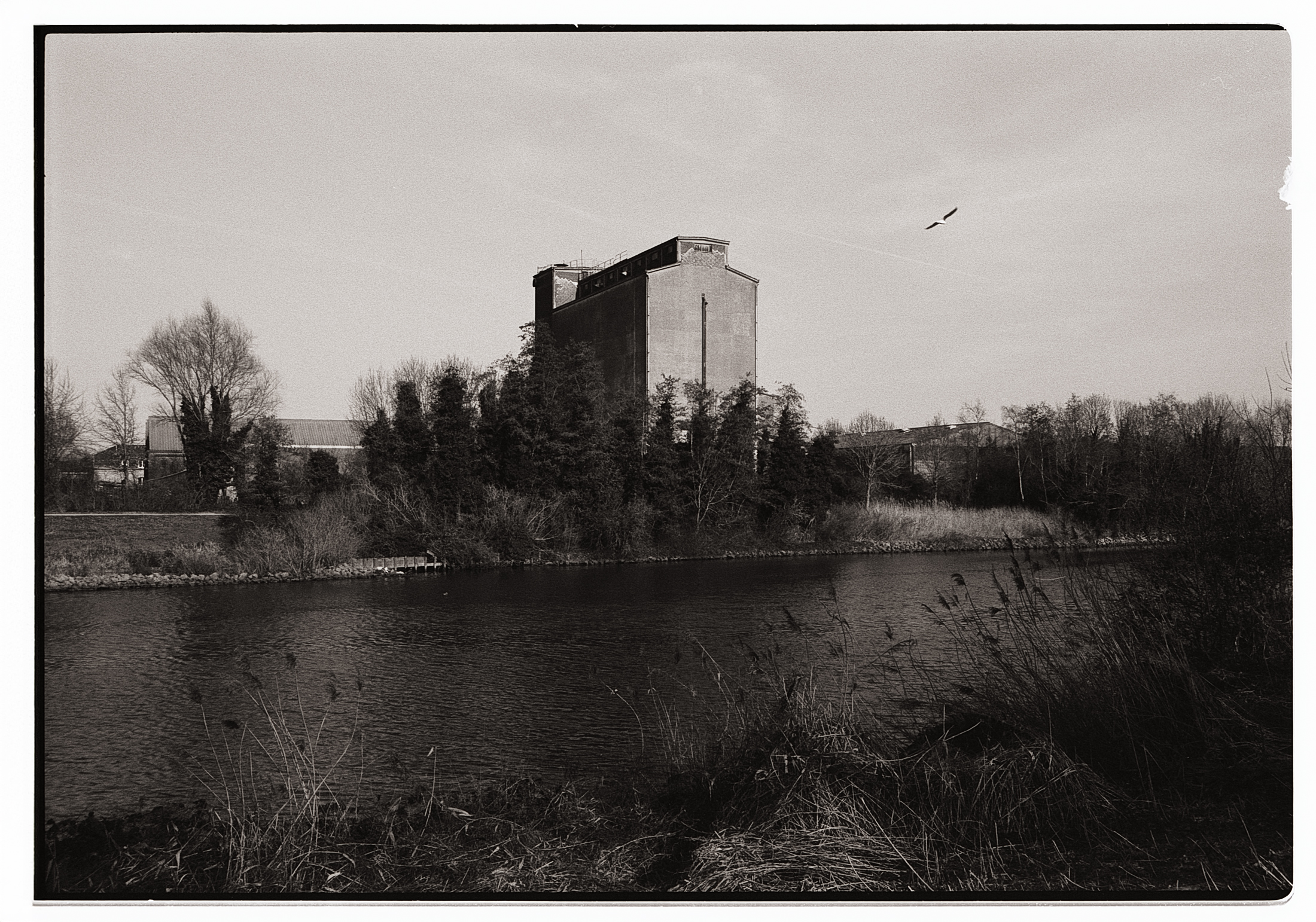 Photographie en noir et blanc montrant un bâtiment industriel au bord d'une rivière, entouré d'arbres et de végétation.