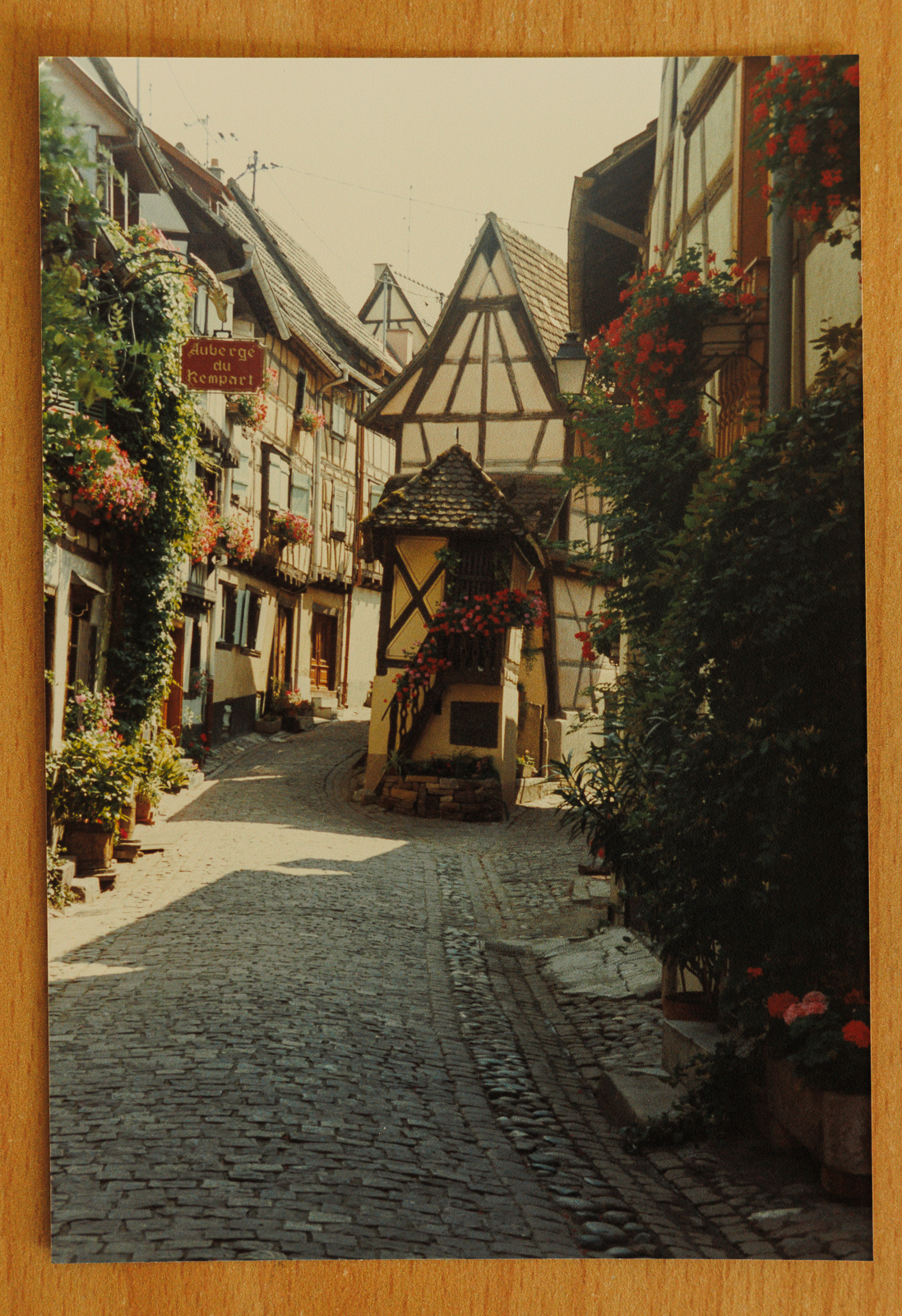 Ne jetez plus vos anciennes pellicules&nbsp;photo