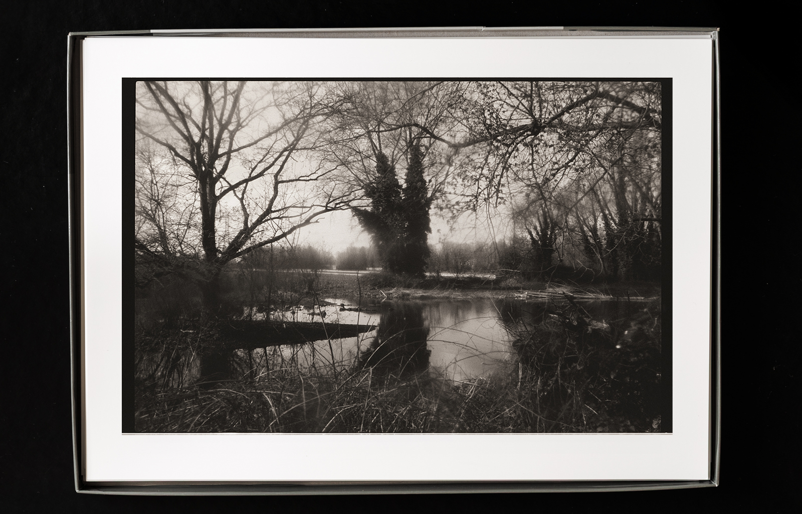 Tirage noir et blanc ARBRES - Photographie argentique