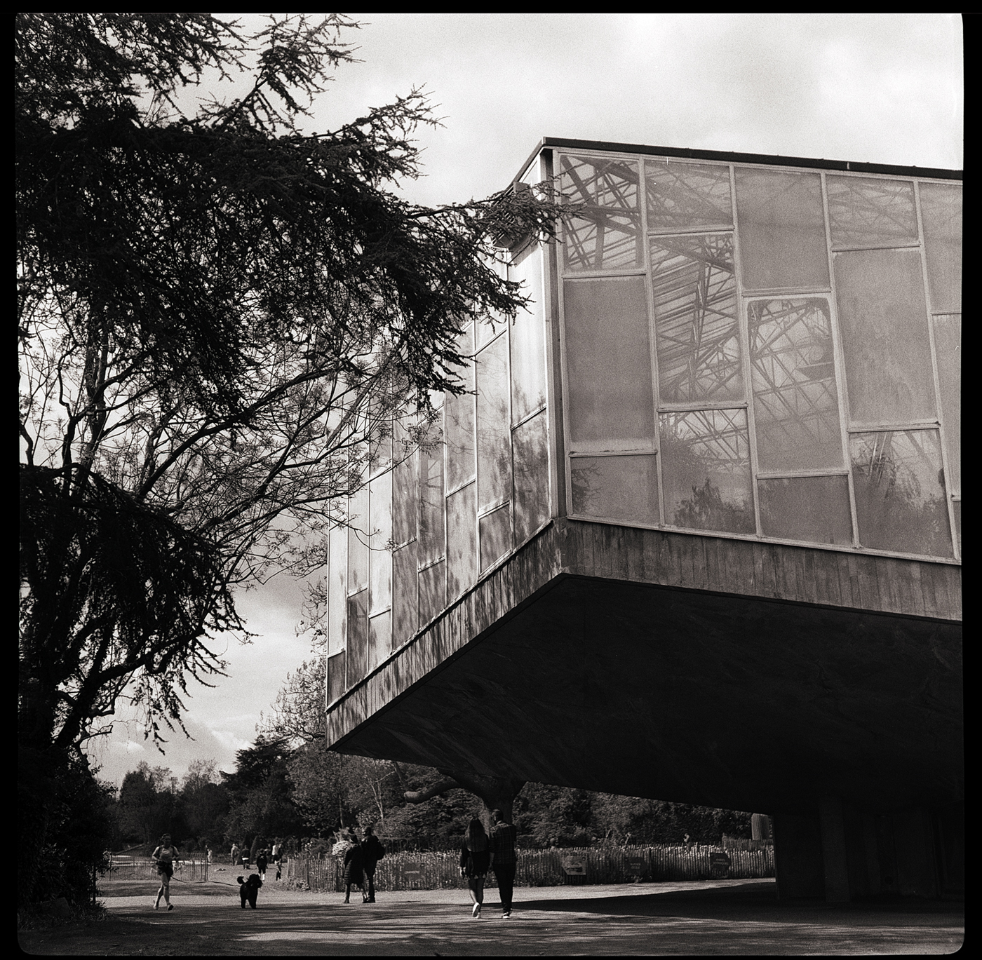 Photographie 6x6 du Jardin botanique à Lille. Ilford HP5 développé dans du révélateur Bellini EURO HC.