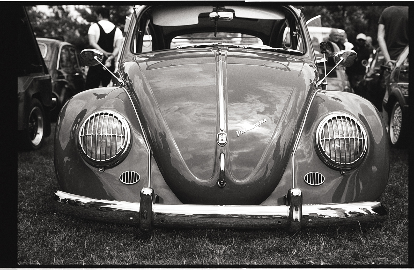 Photo argentique noir et blanc d'une coccinelle en gros plan – prise sur pellicule Fomapan