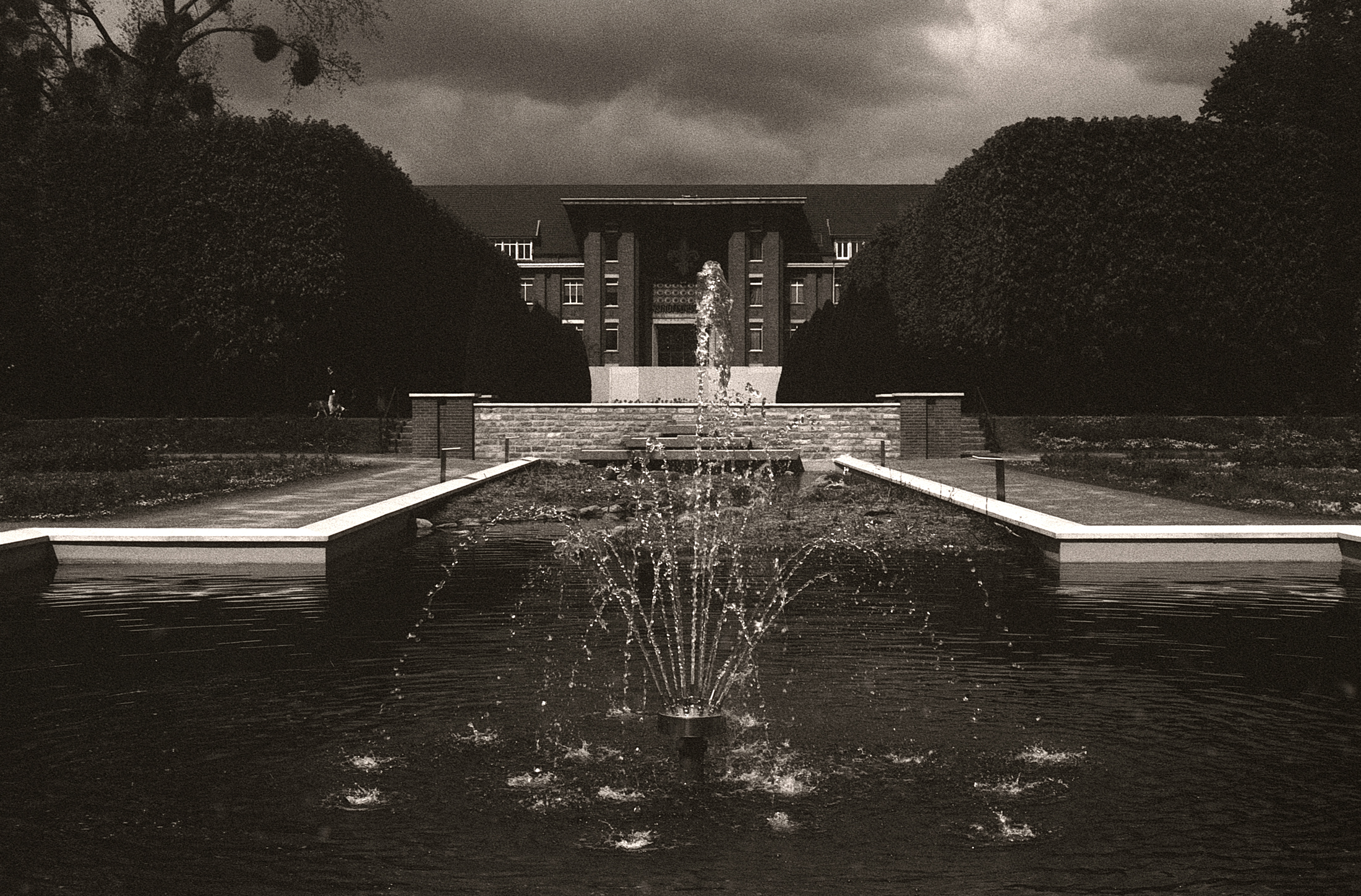 Photographie argentique du jardin des plantes à Lille. Style rétro et caractère intemporel d'une photo prise en 2025